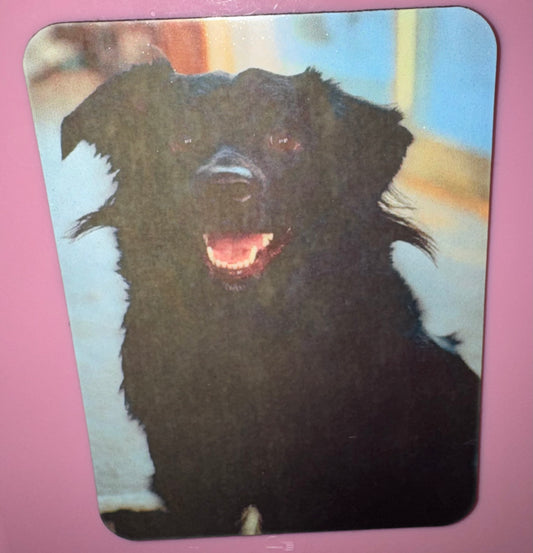 Custom Photo Magnet